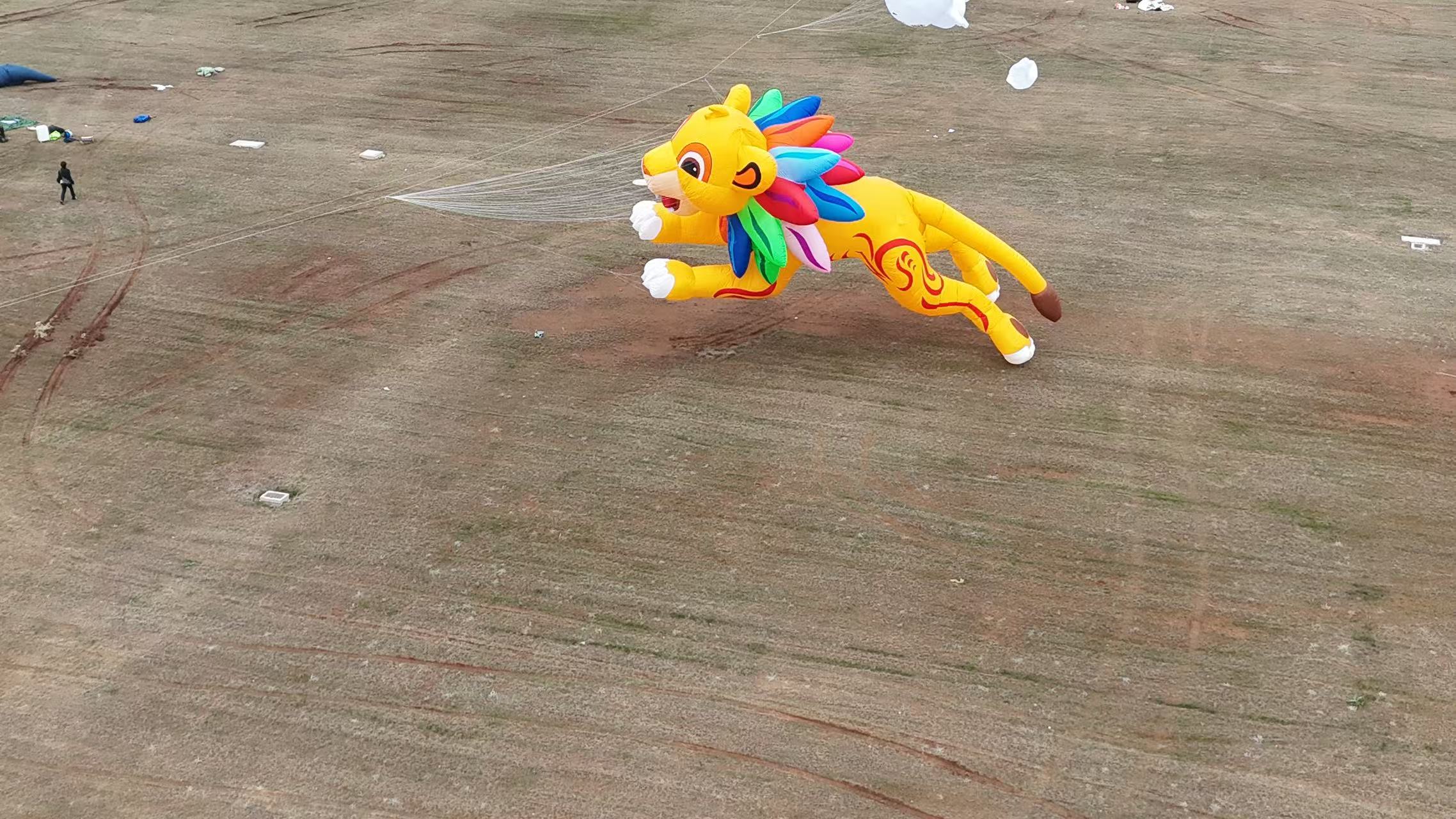 泉州市品牌风筝定制品牌风筝定制 - 哪里好